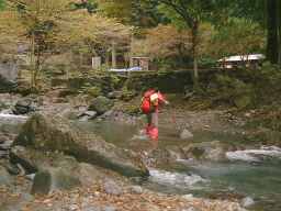 �����Ԃ�(^^;)