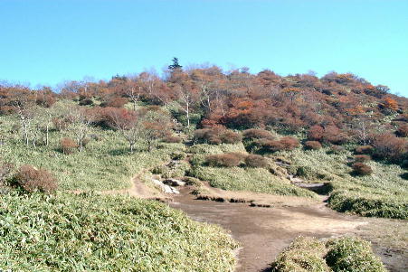 ���㒼���̍L��