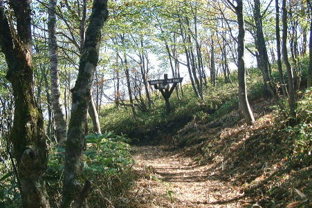 �}���~�����Ȃ������������߂���ƎO���H��